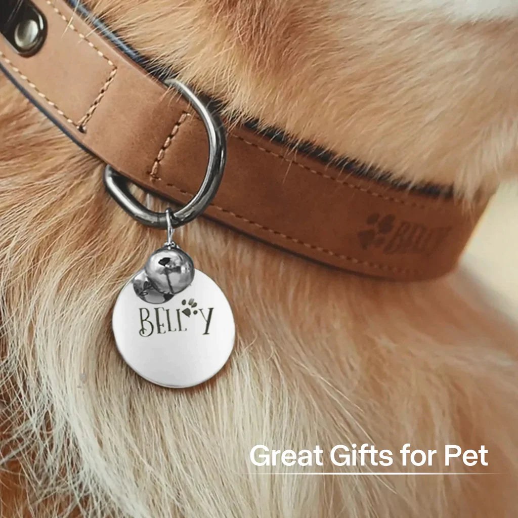 Stainless Steel Round Pet ID Tags (10 pcs) 4